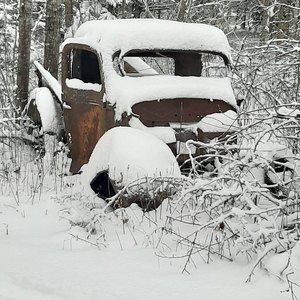 Meet your Posher, Tracey